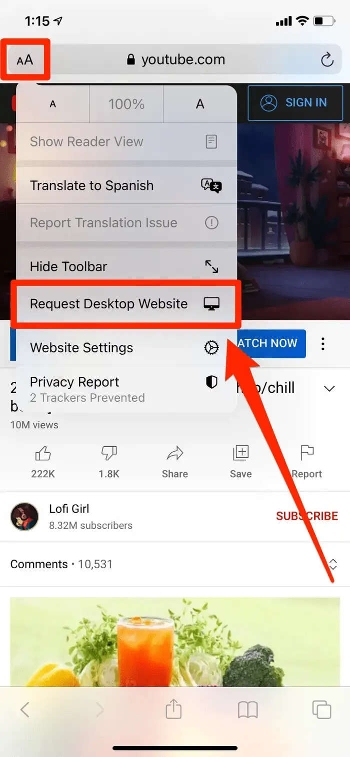 Request Desktop Website option selected in Safari on iPhone