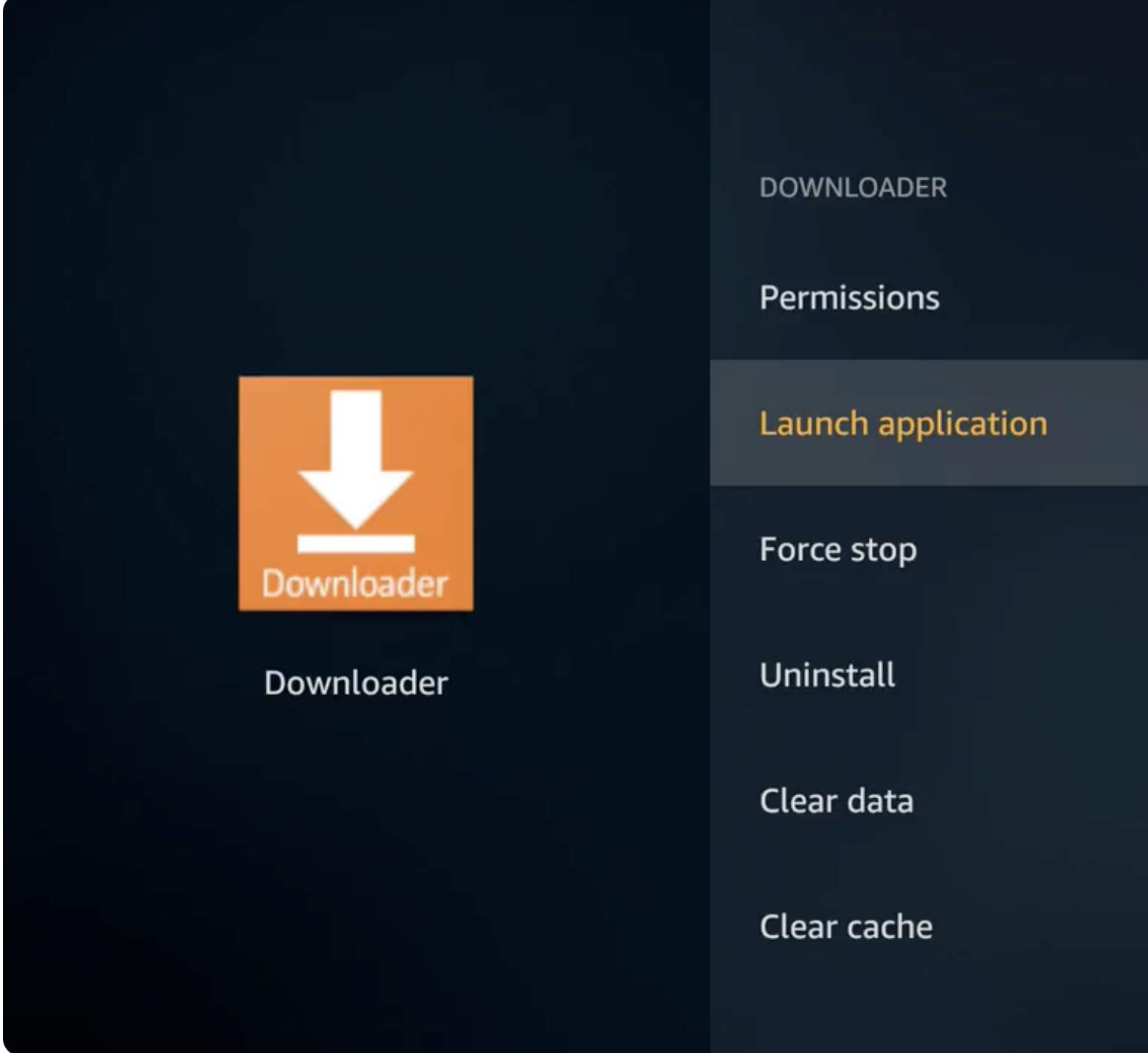 installed downloader app