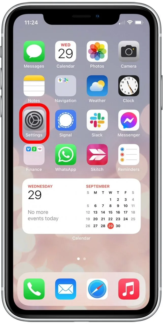 iPhone Phone home page