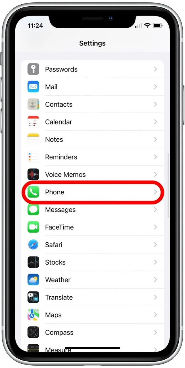 iPhone Phone settings screen showing phone