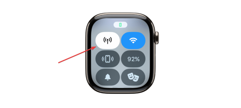 How to Use Internet on Apple Watch