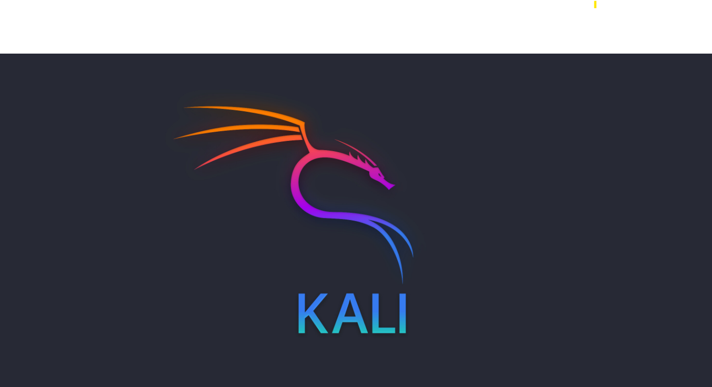What Is Kali Linux and How to Install It