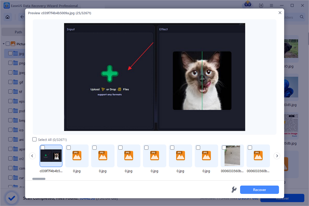 Browse recoverable files