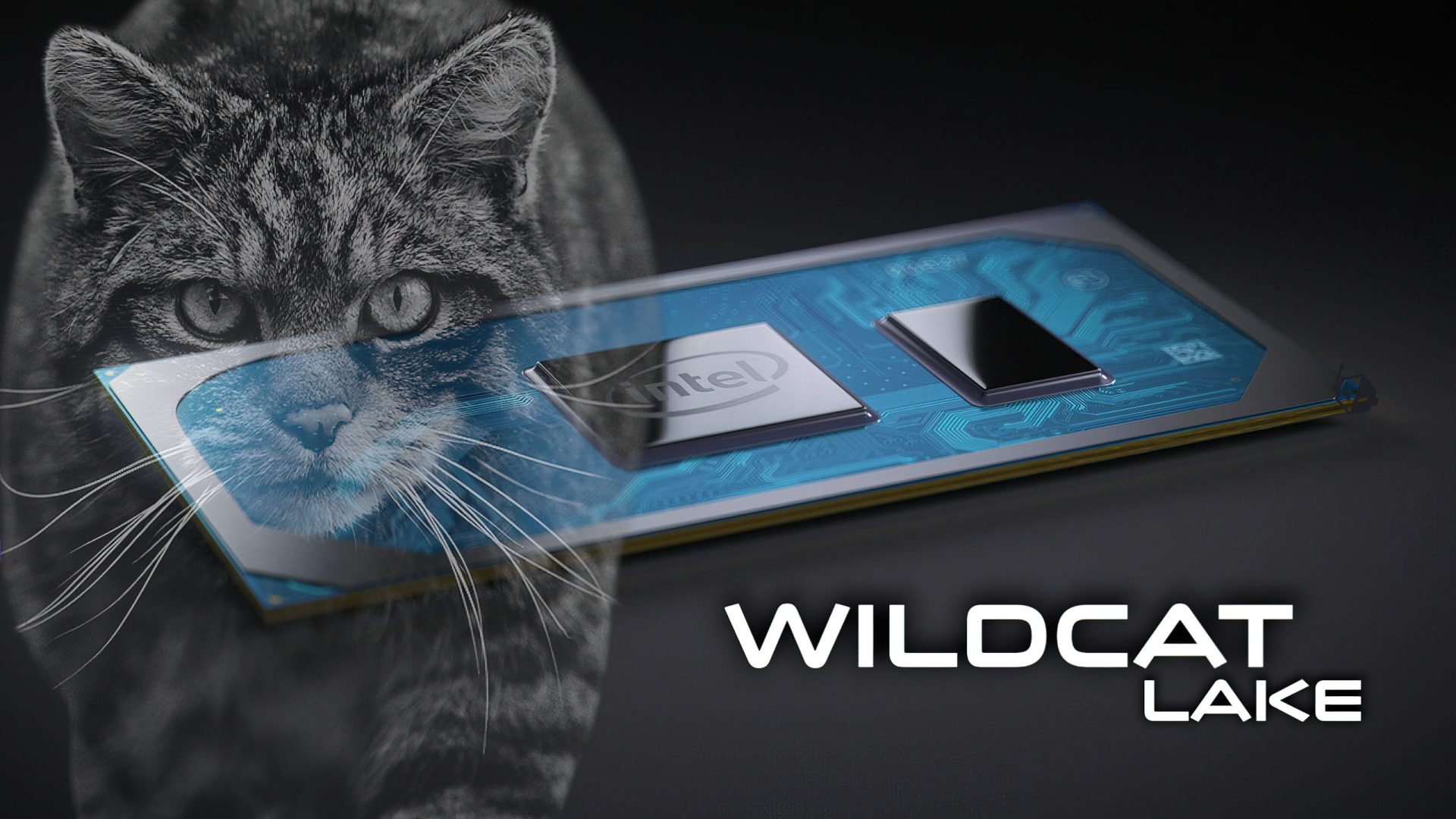 Intel Core 3 304 Matches Apple A18 Pro In PassMark Multi Thread Test Despite Fewer Cores