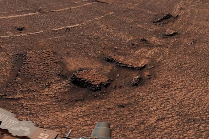 Curiosity Rover Finds Dense Honeycomb Patterns That Point to Ancient Water on Mars