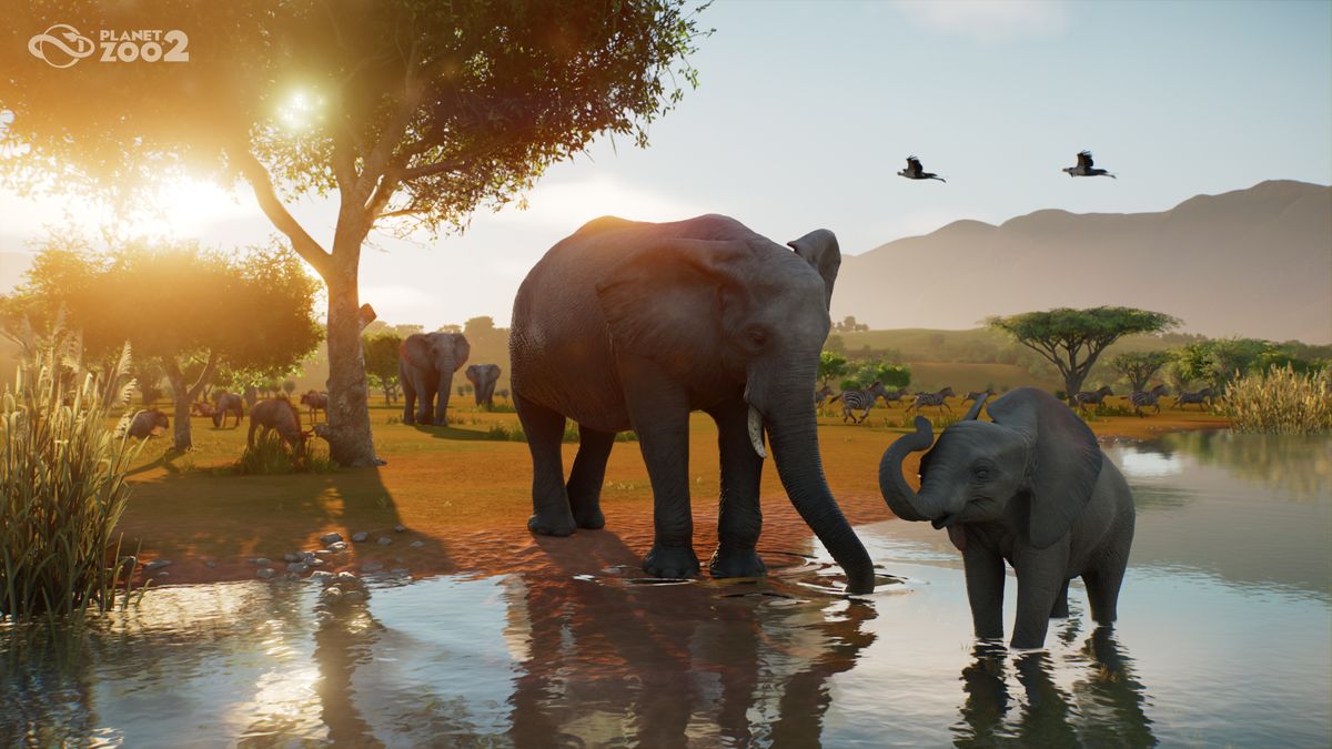 Planet Zoo 2 Earns Steam Deck Verified Status Ahead of October Launch