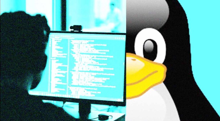 Linux Software Images Lead Developer Leaves PS5 Linux Project After Key Hypervisor Bug Is ...